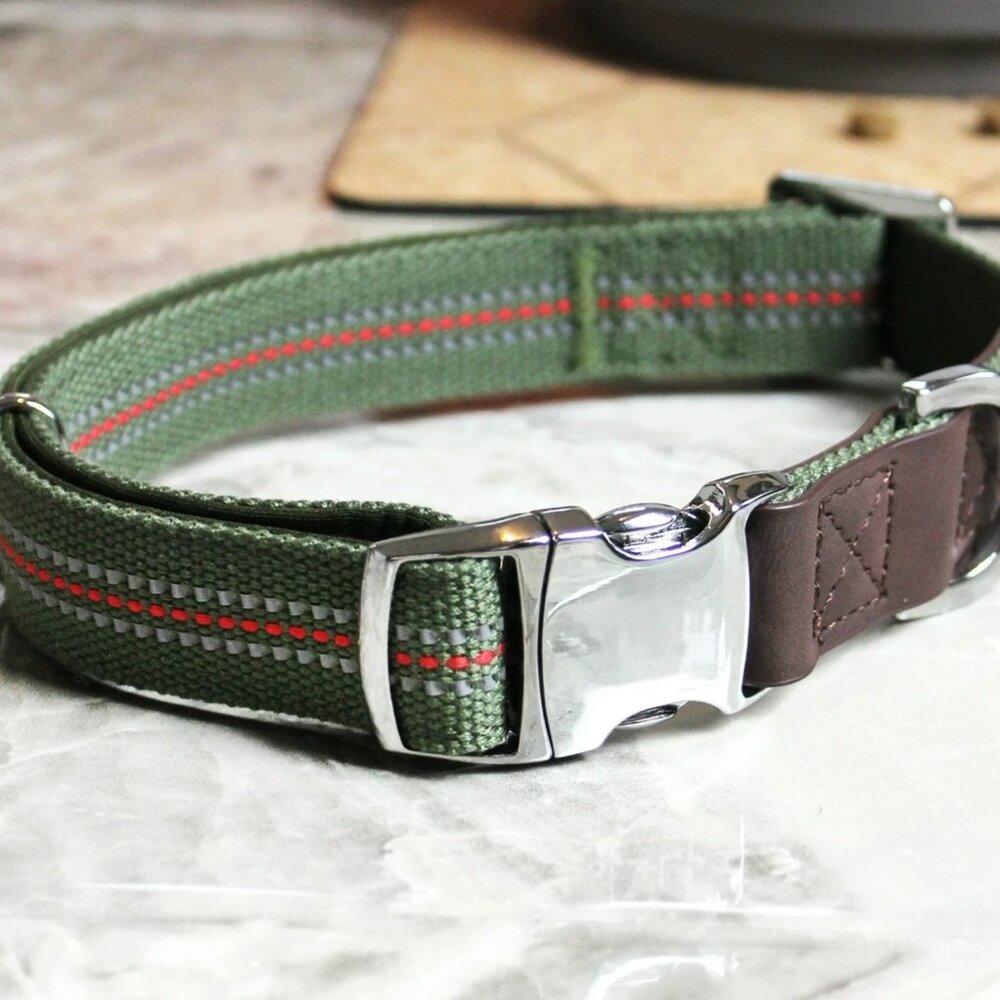 Vibrant Life Comfort Premium Reflective Dog Collar, Metal Buckle, Olive Green, L